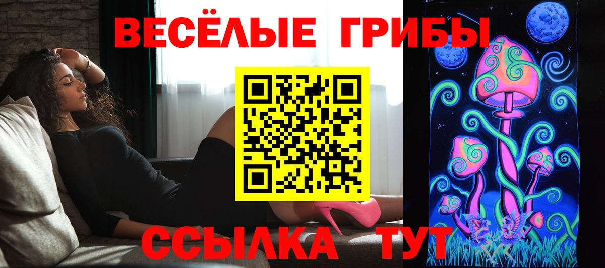 Кумертау  Псилоцибиновые грибы Cubensis  Вход с VPN  Галлюциногенные грибы мицелий 